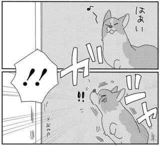 愛犬が網戸に気付かずドーン！ ドジだと思ったら新事実発覚!?／あしょんでよッ8