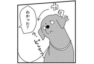 愛犬に「チョロい」と思われていそうな飼い主の行動。でもかわいいから...！／あしょんでよッ8