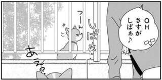 柴犬はこうでなくちゃ。飼い主以外にはツンツン...と思った翌日に「え？」／あしょんでよッ9