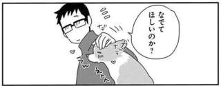 「太ったな」ワンコと暮らして身に付く特技。ボディタッチと抱っこで...／あしょんでよッ9