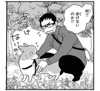 いちゃいの...ワンコを歩けなくする「トラップ」。警戒が止まらなくて...／あしょんでよッ10
