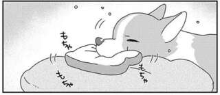 愛犬のおもちゃを洗いたい。飼い主の頭脳プレイで勝利！ ...のはずが!?／あしょんでよッ10