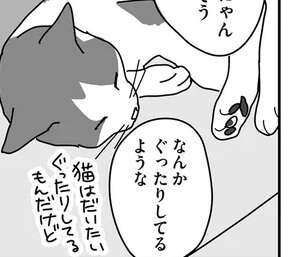 「週末、病院に連れていこう」仕事中も猫が心配で胸騒ぎが止まらない／世界一幸せな飼い主にしてくれた猫