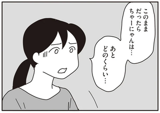 獣医師が困った顔で告げた「愛猫の余命」。あまりにも短くて...／世界一幸せな飼い主にしてくれた猫