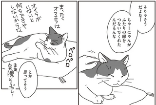 飼い猫が夫婦の縁をつないでくれた。2人と1匹の幸せな日常が続いていくと思っていたのに／世界一幸せな飼い主にしてくれた猫