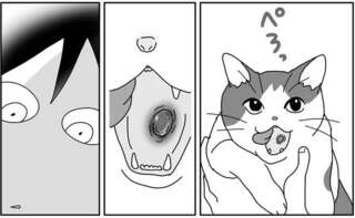 愛する猫の口の中に見えた何か。大きすぎる「口内炎」の正体は／世界一幸せな飼い主にしてくれた猫