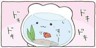 はじめてのお友だち。 気に入った？ それとも...不安と期待にソワソワ／金魚鉢ちゃん ずっといっしょのまいにち