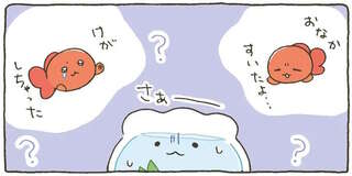 あれれ？ 金魚くんが元気がない。こんな時は...そうだ！／金魚鉢ちゃん ずっといっしょのまいにち