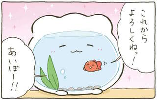 「よろしくね！」金魚くんと金魚鉢ちゃん。一人じゃないっていいね！／金魚鉢ちゃん ずっといっしょのまいにち