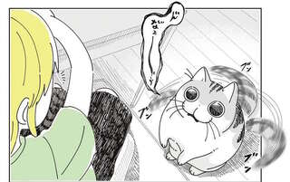 素手で来いと？ 愛猫と猫じゃらしで遊んでいたら...え？／夜は猫といっしょ7