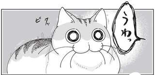 なぜか疑い深い猫。飼い主が「なんでもないよ」と謝っても...／夜は猫といっしょ7