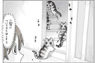 愛猫が私の肩を思わせぶりにポン。ついていっても特になにもないんでしょ...？／夜は猫といっしょ7
