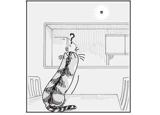 猫的には気になってしかたない⁉  時計を外したら壁についてる謎のフック／夜は猫といっしょ7