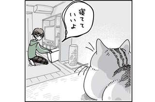 愛猫がスヤスヤ...。起こしたくないと思うとなぜか起きちゃうのはなぜ／夜は猫といっしょ7