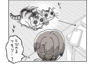 愛猫が今にも散らかった机に飛び乗ろうとしてる⁉ でも飼い主が慌てて片づけると...／夜は猫といっしょ7