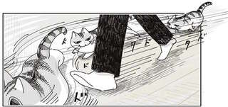 愛猫が、走る私を追い越して足元でピタッ。...通せんぼしてる？ それとも...／夜は猫といっしょ8
