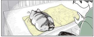 愛猫がチラシの束の上でくつろぎ始め...、お互い邪魔だけど、どけるほどではない？／夜は猫といっしょ8