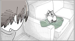 愛猫の行動に胸がしめつけられる。飼い主の帰りを待っていた猫は...／夜は猫といっしょ8