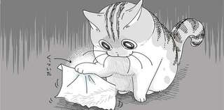 愛猫の前足にコロコロがくっついてパニック！くっつかないように丸めたら...え？／夜は猫といっしょ8
