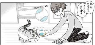 紙くずで大興奮の愛猫。オモチャを渡してみたら...／夜は猫といっしょ8