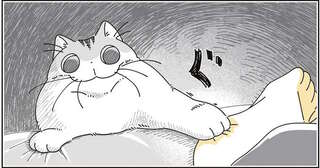 これは理不尽...⁉ 猫は、飼い主のコレを許さない／夜は猫といっしょ8