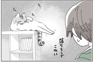 猫が落ちそうで怖い！ テレビ台の上で毛づくろいする姿を見守っていたら...／夜は猫といっしょ8