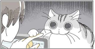 猫がそんな目を...。「興味を持ったものの正体」を見た瞬間、こんな顔に／夜は猫といっしょ8