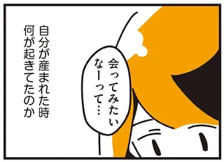 父には別の家族がいて、姉もいるらしい。母に嘘をつき、父たちが暮らす東京へ／不倫の子だなんて知りたくなかった
