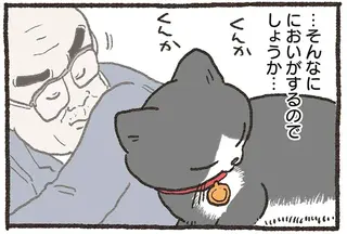 ねこおじの「元気が充電できる」匂いはどんな匂い？ 自分でチェックしてみたら／ねこに転生したおじさん 6