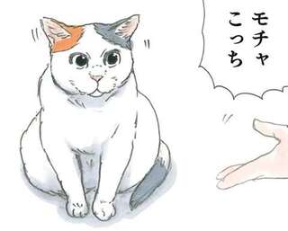 父と母に同時に呼ばれた猫。そのリアクションはずるい！／拾い猫のモチャ5