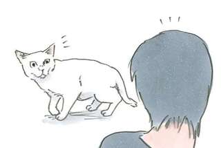 猫が「自分から甘えにくる」という飼い主のワザ。なんてかわいい...！／拾い猫のモチャ6