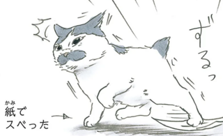 「恥ずかしがる猫」の愛らしさ。滑ったところを飼い主に目撃され...／拾い猫のモチャ7