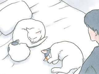 ベッドの真ん中に猫3匹。眠い飼い主は...どうする？／拾い猫のモチャ7