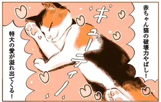 ぼろぼろで保護された子猫。一命をとりとめ、もらわれた家で「特大の愛」を／うちの猫は仲が悪い
