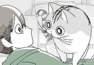 うたた寝中、愛猫が上機嫌でお腹の上へ。こんな顔されたら「どいて」なんて言えない／夜は猫といっしょ8