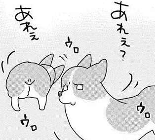 乾くまで近くでじっと...ワンコの「お気に入り」を洗うと？／あしょんでよッ8