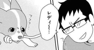 「ワンコと雨の日のおうち遊び」でありがちなこと。夢中になりすぎて...え？／あしょんでよッ9