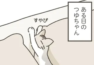 やっぱり隙間が好き？ 枕の間でスヤスヤの保護ねこちゃん／ねこのつゆちゃんのことで頭がいっぱいです