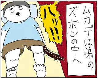 地獄...家族団らん中に巨大ムカデ襲来！ 弟のズボンに侵入して...あ゛あ゛あ゛！／カッラフルなエッッブリデイ2