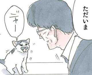 保護された子猫は飼い主に愛されてます。帰ったらすぐに...／拾い猫のモチャ7