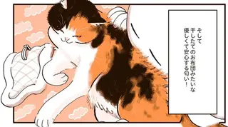 猫を飼うまでわからなかった...！「猫を吸う」ときの多幸感たるや／うちの猫は仲が悪い