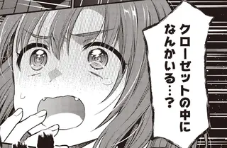 一人暮らしのクローゼットから「ドン！」この音、いったい何⁉／或いは、私の名探偵 1