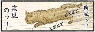 疾風のごとく部屋中を駆け回るネコ様が。血が騒ぐ「理由」は？／今日もネコ様の圧が強い2