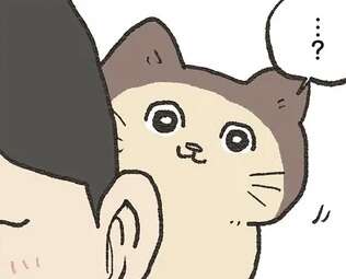 写真を見せあい猫自慢。それを見ていたお隣の猫が焼きもちをやいた理由とは／ねこに転生したおじさん 6