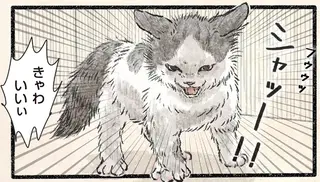 こわがれッ!! コネコ様がシャーッと全身で威嚇したのに、飼い主の反応は...／今日もネコ様の圧が強い2
