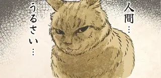 「うるさい...」。愛猫がベロを出す様子に「しまい忘れてる」と飼い主は歓喜するが...／今日もネコ様の圧が強い2