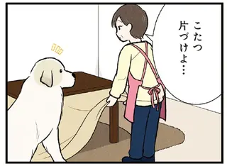 悲しげな瞳に「うっ」コタツをしまってほしくない大型犬の愛しい抗議／今日のルンルン