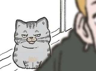 保護された猫と対面。うちの子になってくれるのかドキドキしていたら...運命だ／ねこに転生したおじさん 6