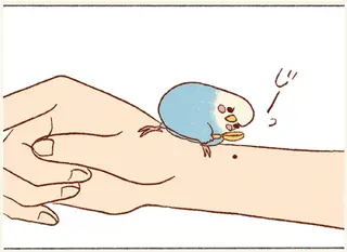 私の手にあるほくろを⁉ 飼い主とセキセイインコの幸せな朝の風景／プジェ日記！ 
