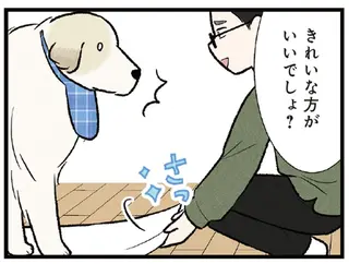 「このタオルにさわらないで！」こだわりの強い大型犬。満足そうな顔が愛おしい／今日のルンルン
